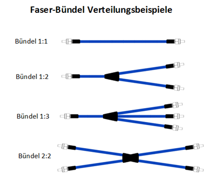 fiber-bundles-verteilungsbeispiele.png